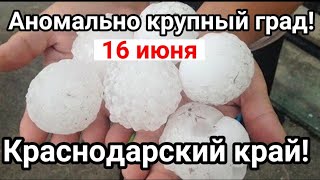 Крупный град Краснодарский край! Катаклизмы за день 16 июня 2021! События за день в мире #Катаклизмы