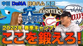 【徹底解剖‼︎】中日・DeNA・日本ハム・西武の「キャンプで鍛えるべき課題」ついて語ります。【プロ野球ニュース】