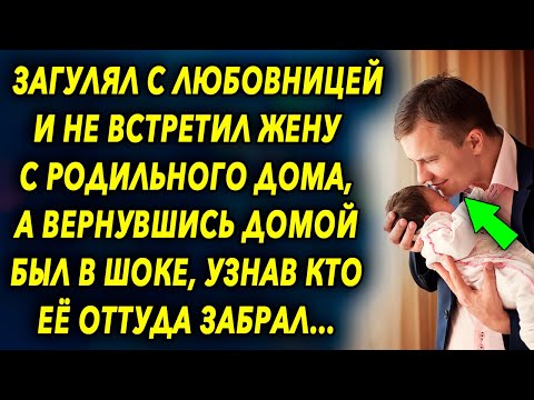 Видео: Самые крутые трюки с собаками в Интернете: объявить победителей конкурса «Победа коры в школе»!