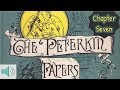 The Peterkins' Summer Journey Quiz