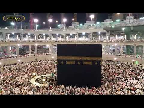 سورة الملك ياسر سلامة