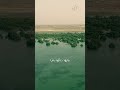 اللهم اجعل دولة الإمارات آمنة مطمئنة يأتيها رزقها رغدا من كل مكان اللهم اجعلها في كنفك وأمانك