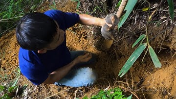 Đào dúi và hái măng rừng | LŨ VỀ TRÊN BẢN NHỎ