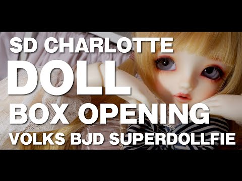 Angell Studio シャルロッテ　ヘッド＆ボディ　キャストドール スーパードルフィー】シャルロッテ開封 【BJD】 Unboxing / Box