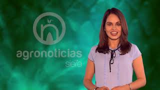 TITULARES AGRONOTICIAS sie7e PROGRAMA 138