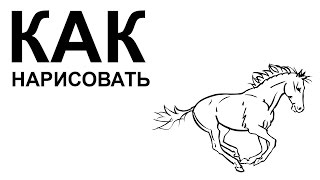 Картинки лошадей. КАК НАРИСОВАТЬ ЛОШАДЬ Картинки лошадей. КАК НАРИСОВАТЬ ЛОШАДЬ