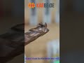 #carbide #endmills #karbeide
