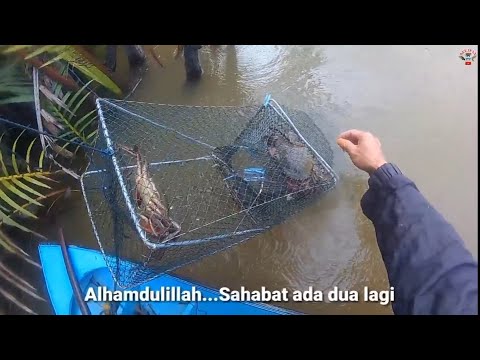 Video: Apa itu jerat kepiting?