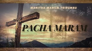 Pacha Maram | song | manitha manam thirumbu |  #chirstiansong #devotionalsongs #mmt #gospelmusic