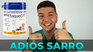 ¿ES NECESARIO HACER UNA HIGIENE BUCODENTAL A PERROS Y GATOS? ¿QUE ES PLAQUE OFF Y COMO ELIMINA