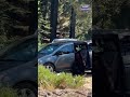 Bear breaks into van, steals sports drink in Lake Tahoe. See the video.