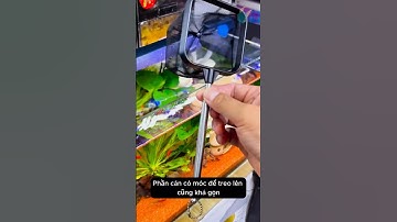 Dụng cụ vợt đa năng an toàn và tiện lợi khi chăm cá #aquarium #youtubeshorts