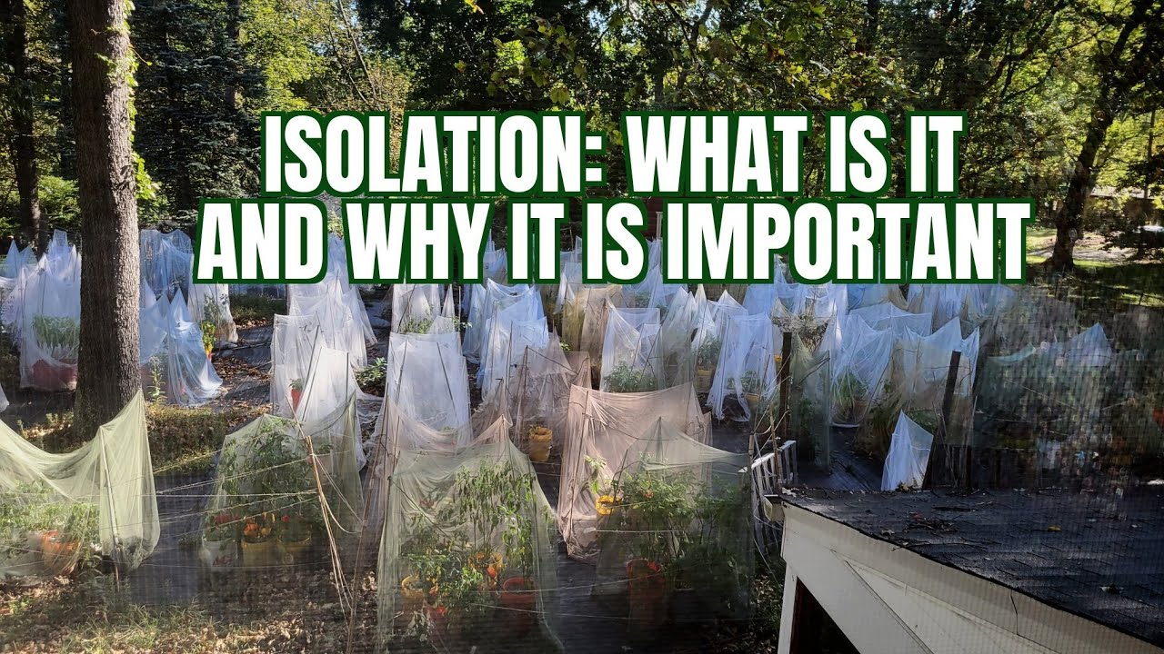Isolation: What is it? And Why is it important - YouTube