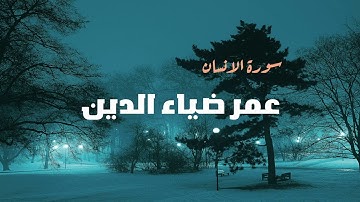 القارئ  : عمر ضياء الدين |سورة الإنسان |بدون مؤثرات