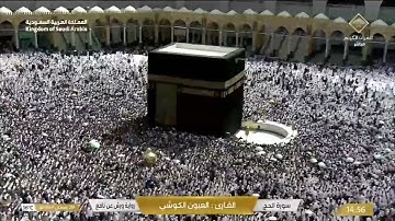 القارئ : العيون الكوشي - سورة الحج  - برواية ورش عن نافع