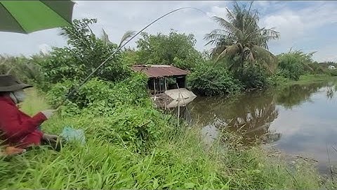 Điểm câu chồi vịt đẹp quá cái kết một buổi chiều quá 