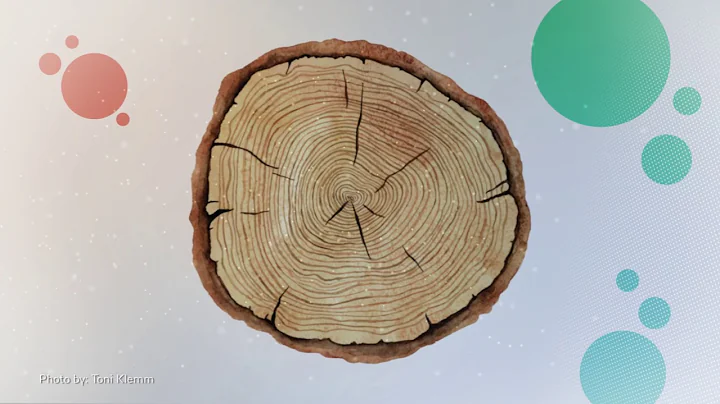 Measuring our past climate