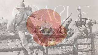 5min ANZAC Incense Ritual: Pause, Honor & Reflect With Incense