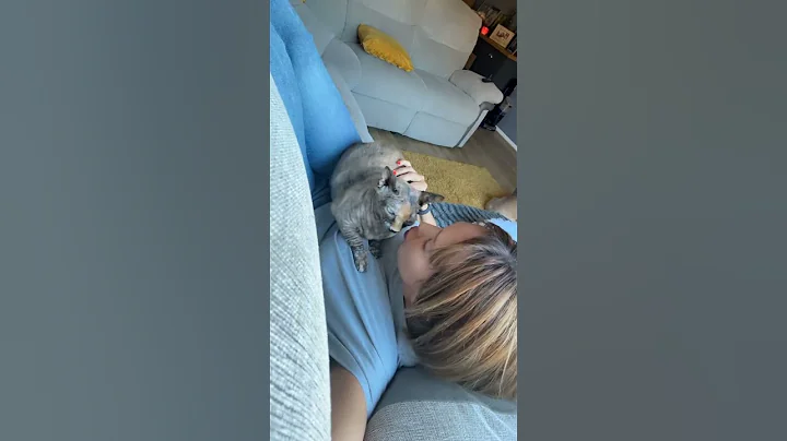 Watch the video about #cat #love #sphynx cuddles 🥰 with lulu 🩷🩷🩷