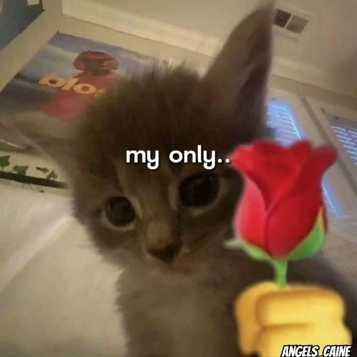 Download lagu Bukti bukti souta #souta #izumi #body #reveal