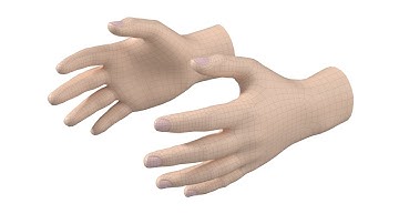 3D Model Male Hand Base Mesh 01 (preview)