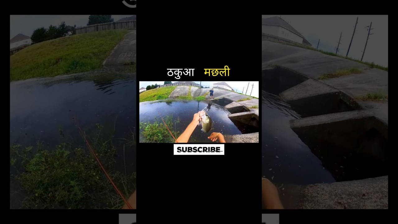ठकुआ मछली 😱 #aivideo #fishing #youtubeshorts #facts #shortsfeed #amazingfacts #shortvideo #ai #fish