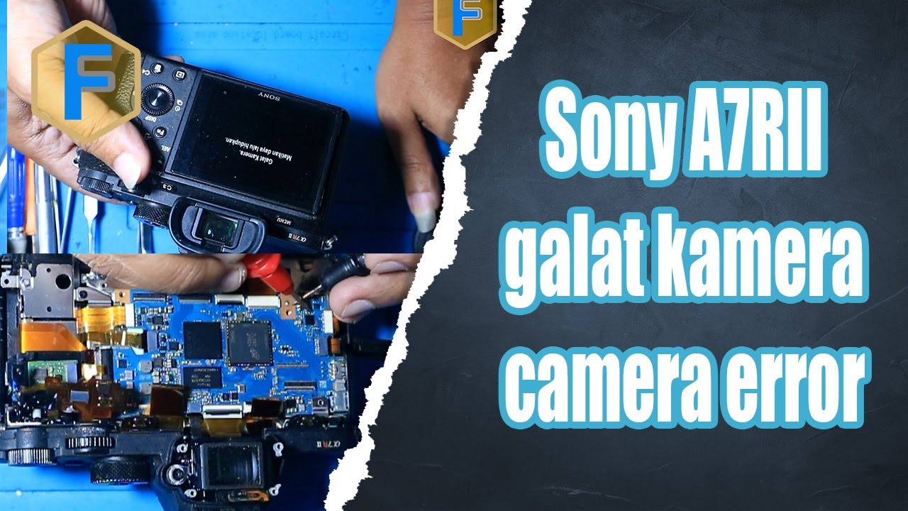 Ormonda piknik porno