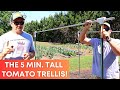 Build This Tall Tomato Trellis in Just 5 Minutes!