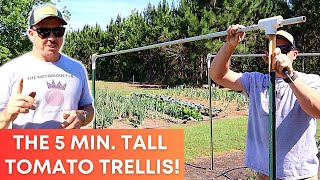 Build This Tall Tomato Trellis in Just 5 Minutes! screenshot 5