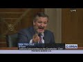 Dems Literally Storm Out of Room as Ted Cruz Exposes Antifa Rioters