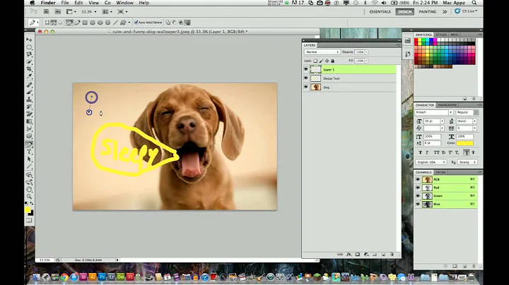 Photoshop CS5 Tutorial - Layers for Beginners