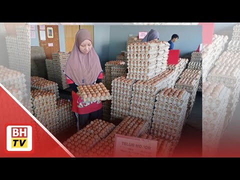 Rahasia Meraih Sejuta Sehari dari Jualan Online Ednovate: Panduan Lengkap & Strategi Jitu