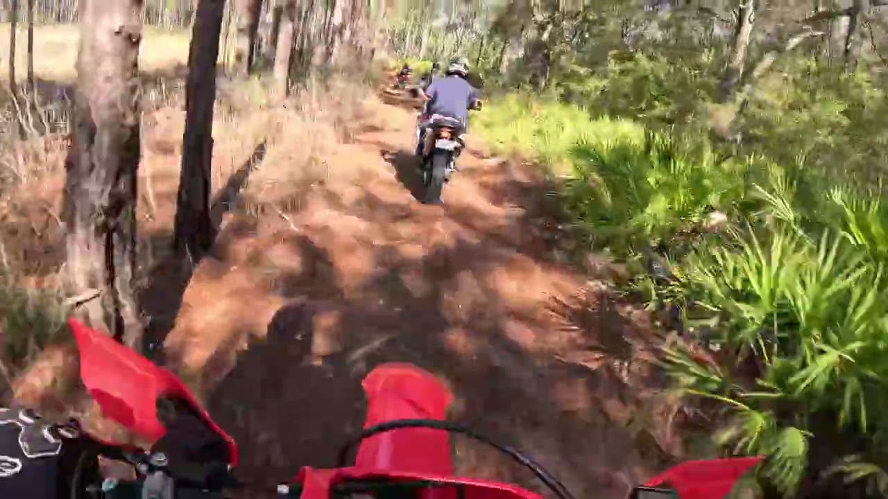 1-10-2026 Ocala Jack behind Noah