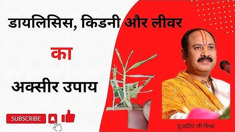 डायलिसिस, किडनी और लीवर का अक्सीर उपाय |dialysis kidney & liver Ka Akser Upay -Pandit Pradeep Mishra