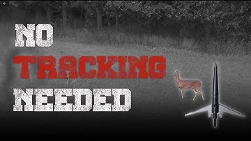 3” Swhacker DROPS this deer in its tracks! (Catch Clean Cook)