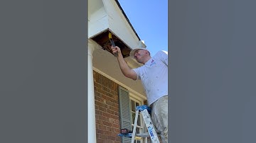 Soffit Repair: How to Do It Yourself 👍 #shorts #carpentry #homeimprovement