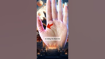 Dấu Hiệu Vân Tay Tài Phú: Chìa Khóa Bí Mật Đưa Bạn Đến Giàu Sang! #favuliofficial #xemchỉtay