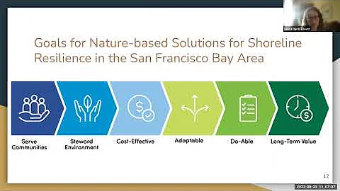 Nature-Based Solutions for Coastal Resilience, Habitat Enhancement, and Water Quality Improvement