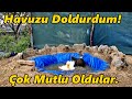 Havuzu Doldurdum!-/Ördekler Çok Sevdi!/Bütün Kümes.!/#Ördek#Havuz#Tavuk#Civciv#Horoz