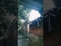 RAIN Season Lombok #nature #rainysleep #relaxingrainsounds #rainsoundsforsleeping