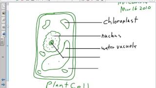 Unit 2 Lesson 02 Microscopy Lab Pre-lab