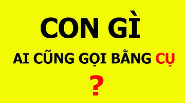 Những câu đố mẹo ngắn nghe rất vô lý nhưng cực kì thuyết phục