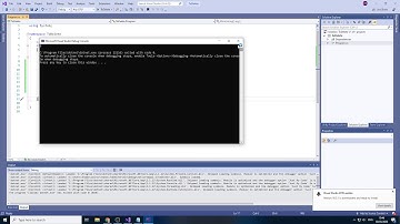 Visual Studio C# Programming Tutorial 17 More Arrays