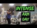 Curls For The Girls | Arm Day Bicep Tricep | Using the GoPro Hero