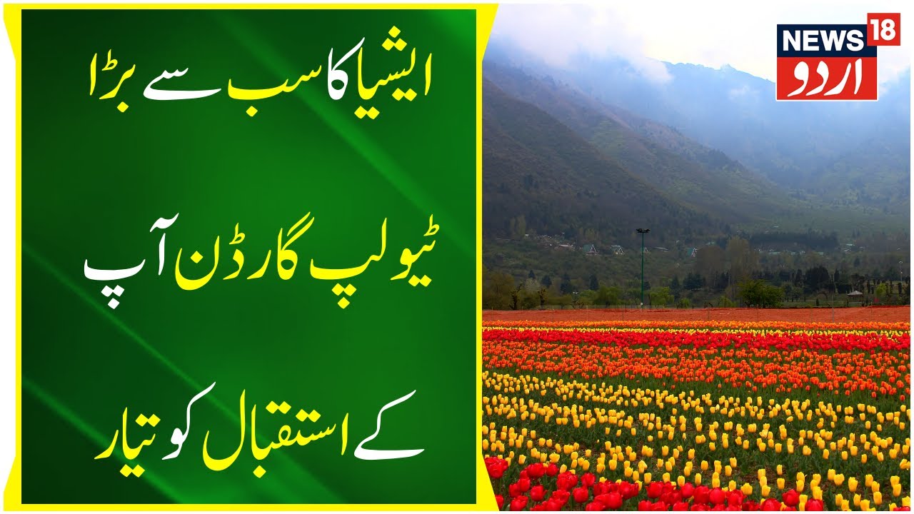 Jammu Kashmir Jammu Mein Tulip Garden Ka Aaj Iftitah Lg Manoj Sinha