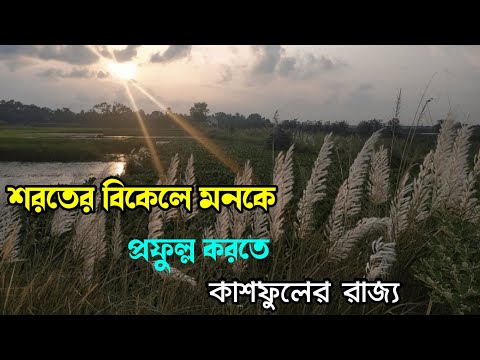 ভিডিও: শরতের উপহার এবং বাড়ির কাজ। অংশ 1