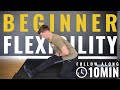 10 minute Stretching Routine I Beginner FOLLOW ALONG