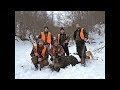 Hunting Wild boar Siroke Luke, Stara Planina 2018 Serbia