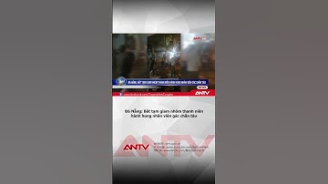 Đà Nẵng khởi tố, bắt tạm giam nhóm thanh niên đánh nhân viên gác tàu | ANTV #shorts