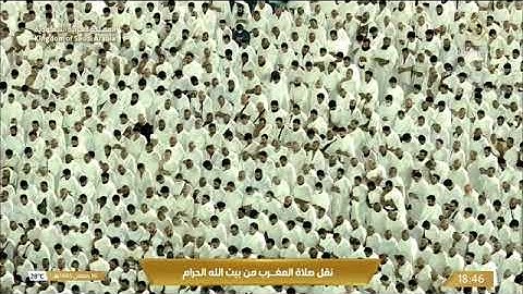 ماتيسر من سورة فاطر لـ فضيلة الشيخ #فيصل_غزاوي من صلاة المغرب ١٦ رمضان ١٤٤٥هـ